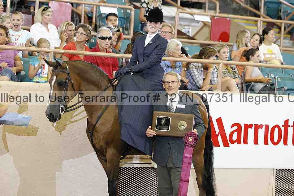 Proof 12yn_07351