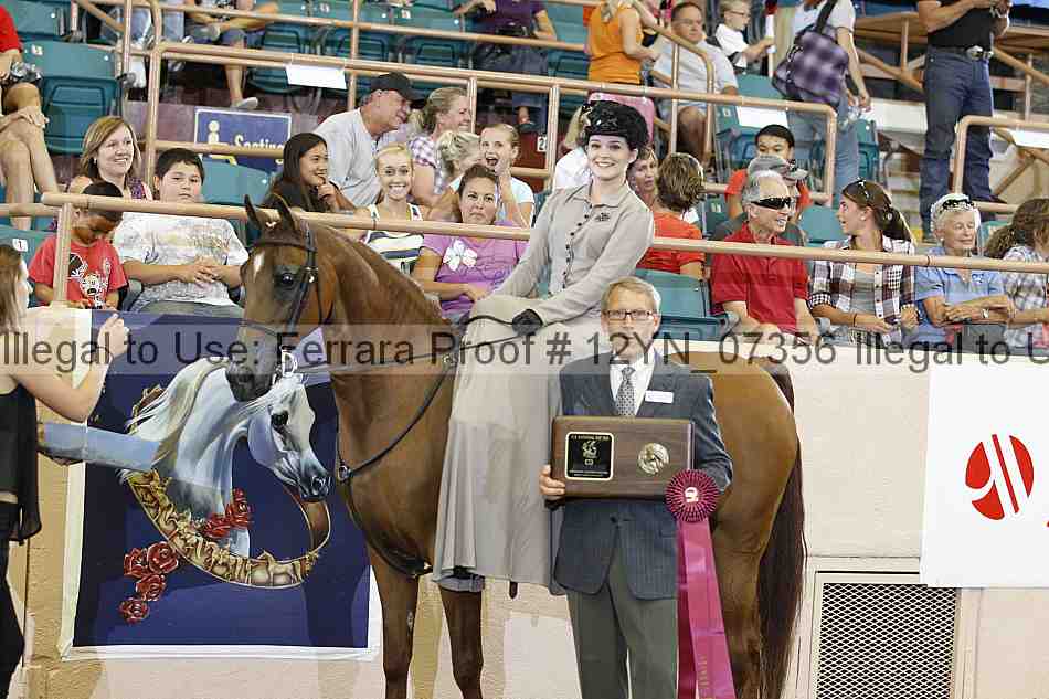 Proof 12yn_07356