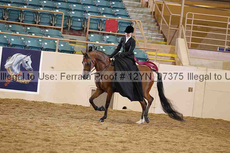 Proof 12yn_07375