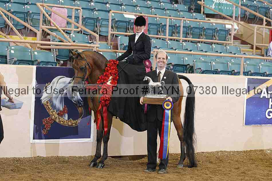Proof 12yn_07380