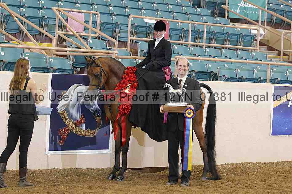 Proof 12yn_07381