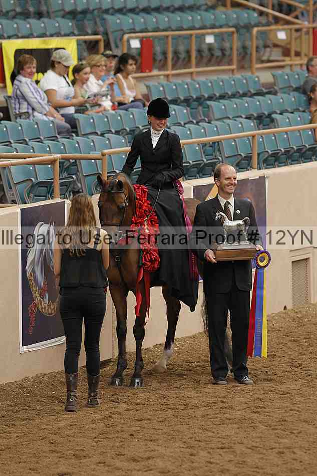 Proof 12yn_07385