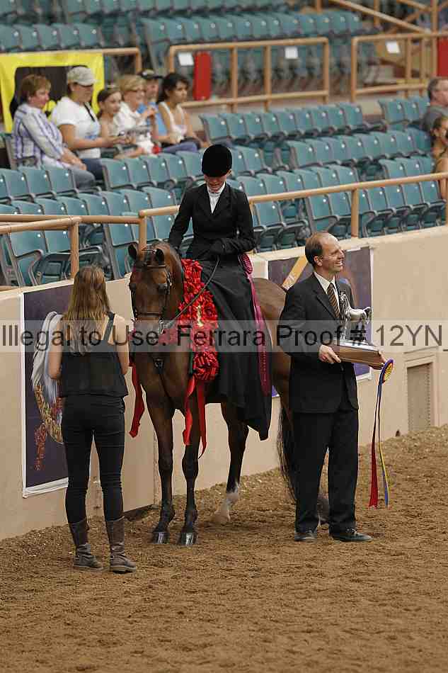 Proof 12yn_07386
