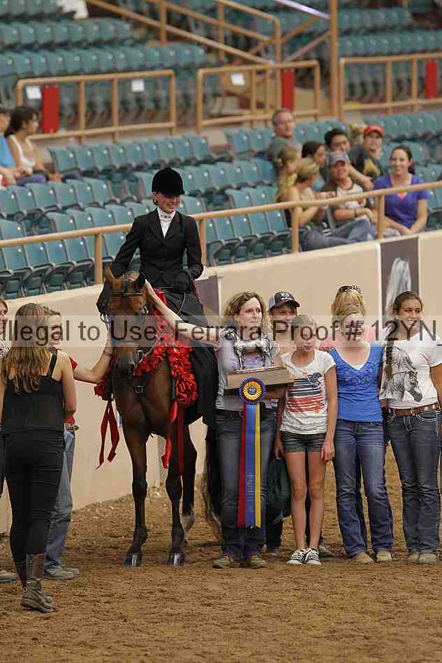 Proof 12yn_07395