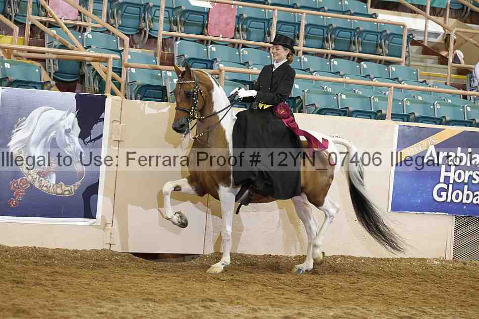 Proof 12yn_07406