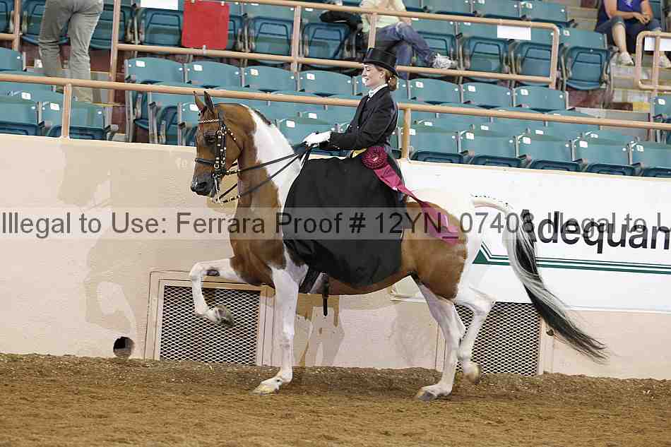 Proof 12yn_07408