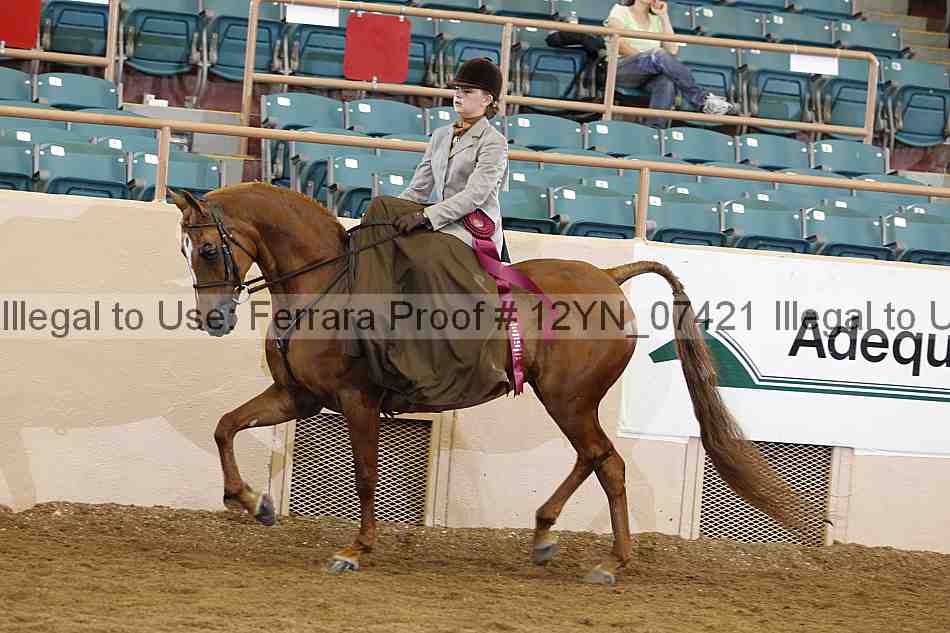 Proof 12yn_07421