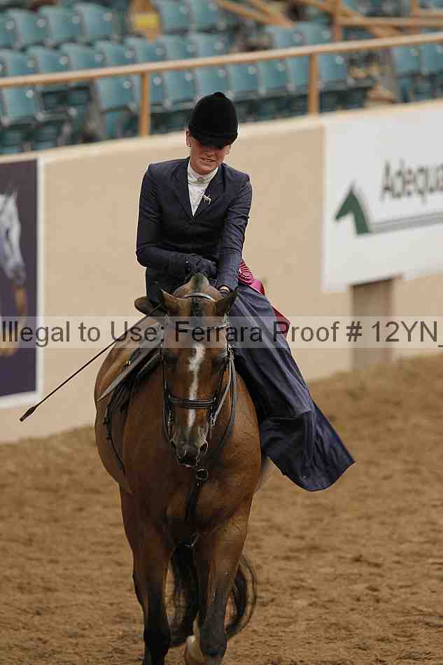 Proof 12yn_07438