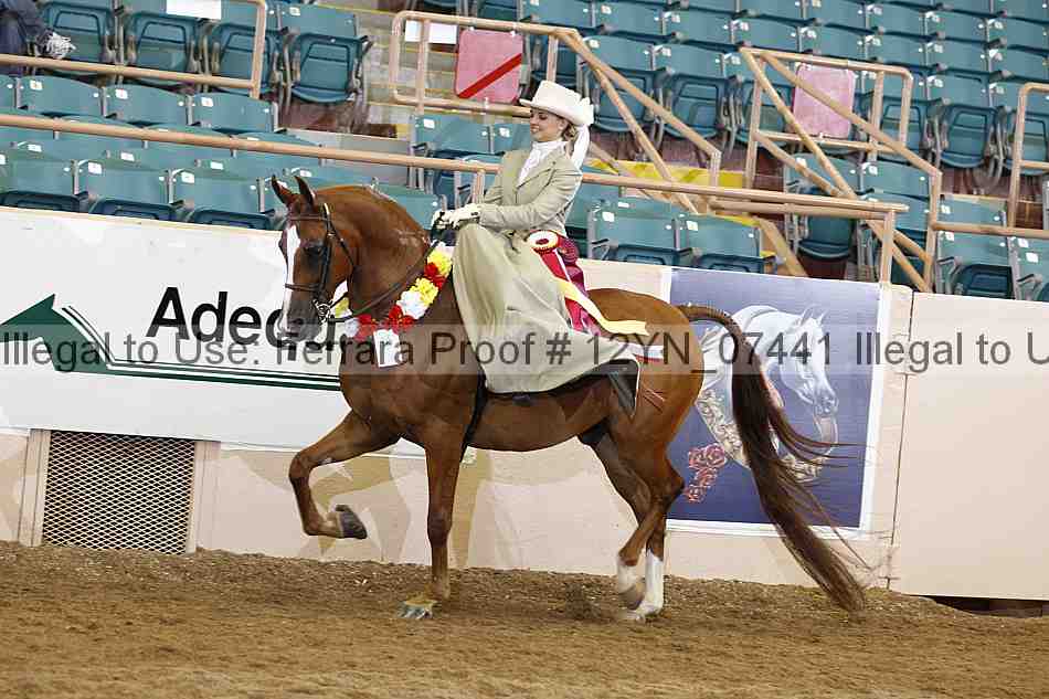 Proof 12yn_07441