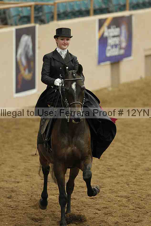 Proof 12yn_07445