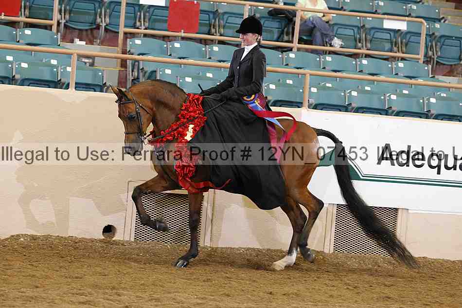 Proof 12yn_07453