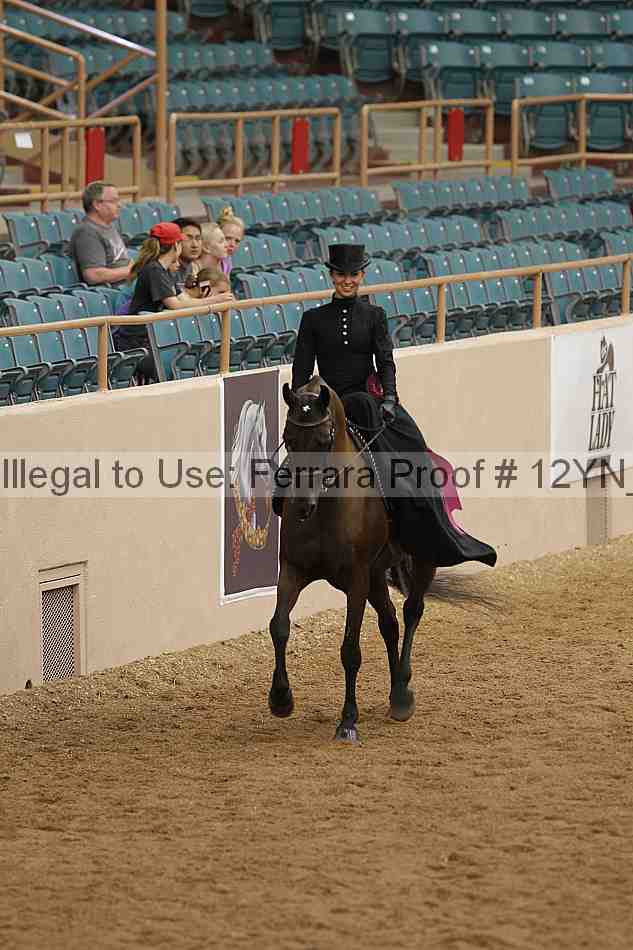 Proof 12yn_07454
