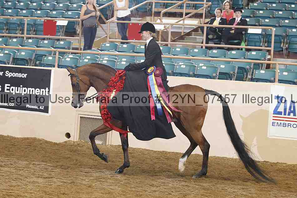 Proof 12yn_07457