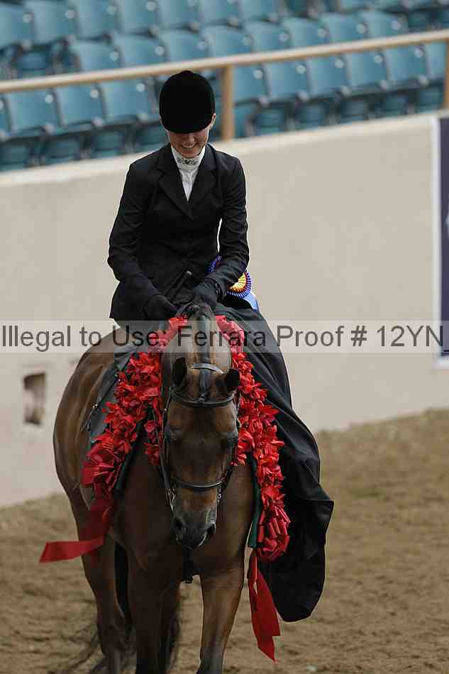 Proof 12yn_07470