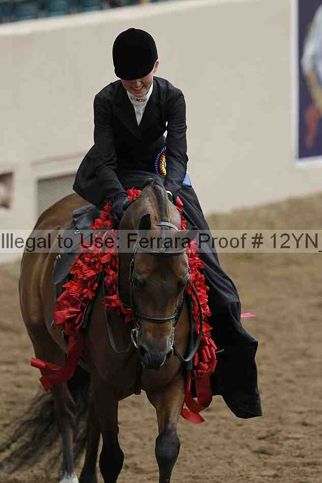 Proof 12yn_07471