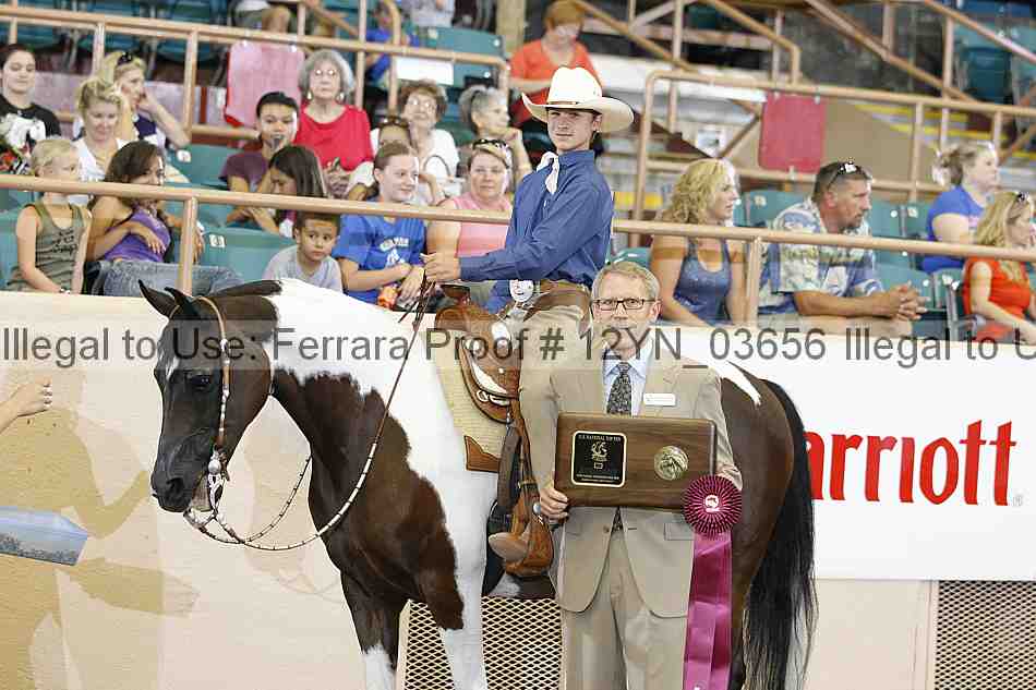 Proof 12yn_03656
