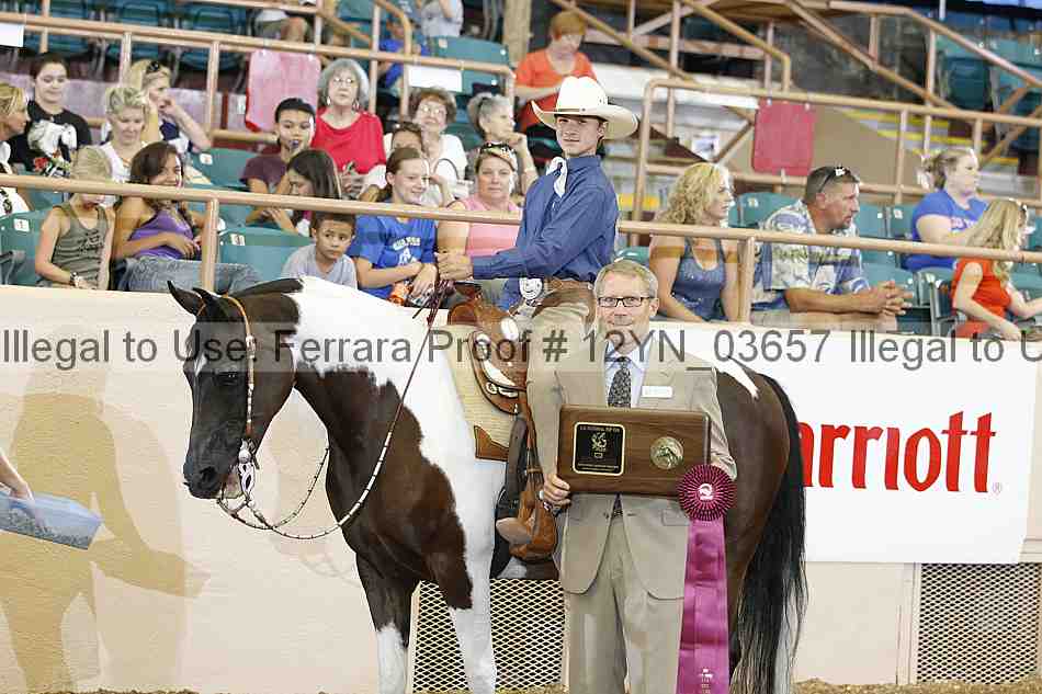 Proof 12yn_03657
