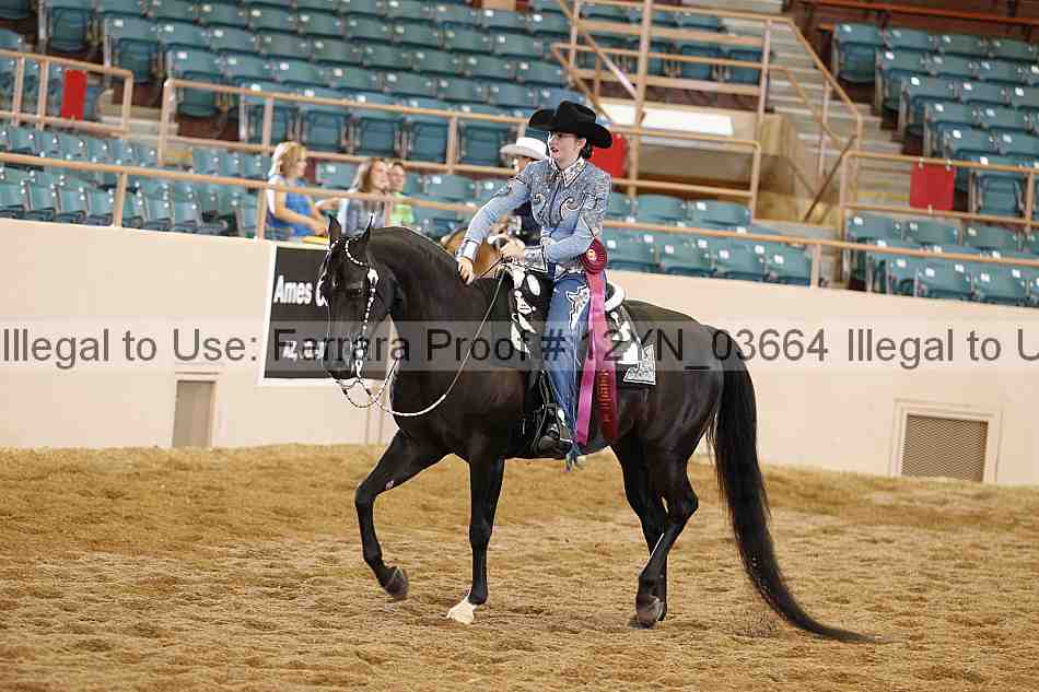 Proof 12yn_03664
