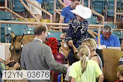 12yn_03676 proof