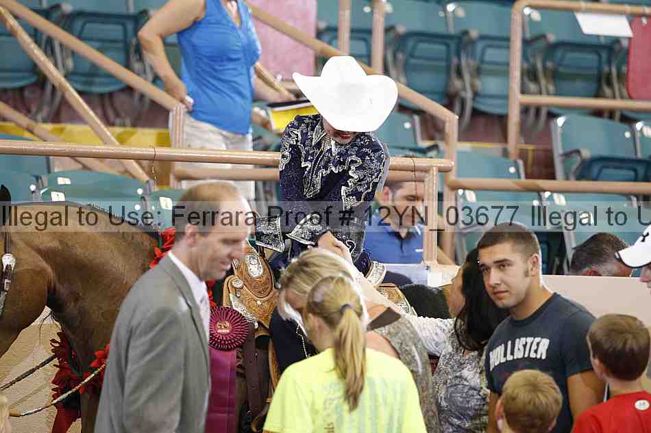 Proof 12yn_03677