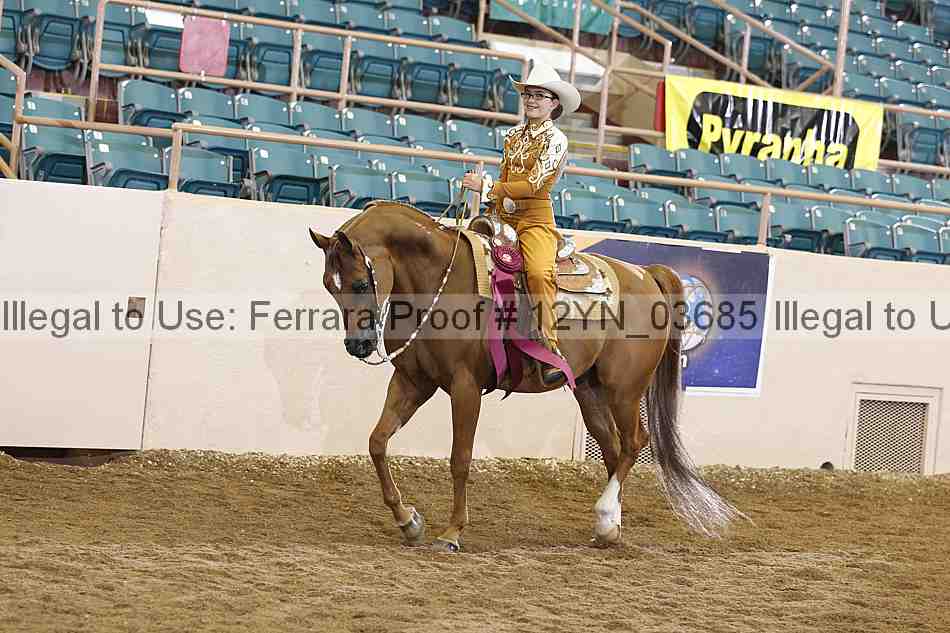 Proof 12yn_03685