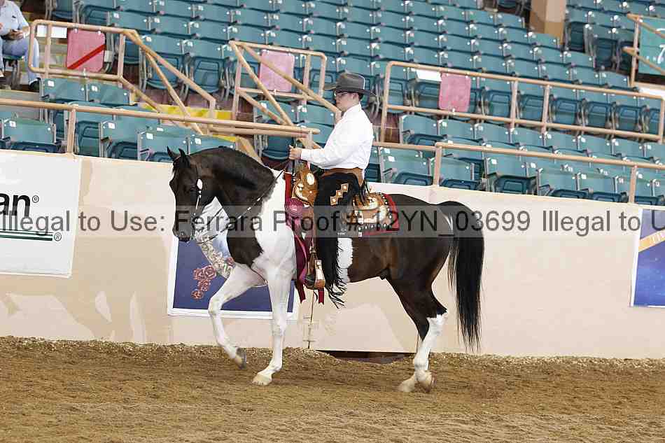 Proof 12yn_03699