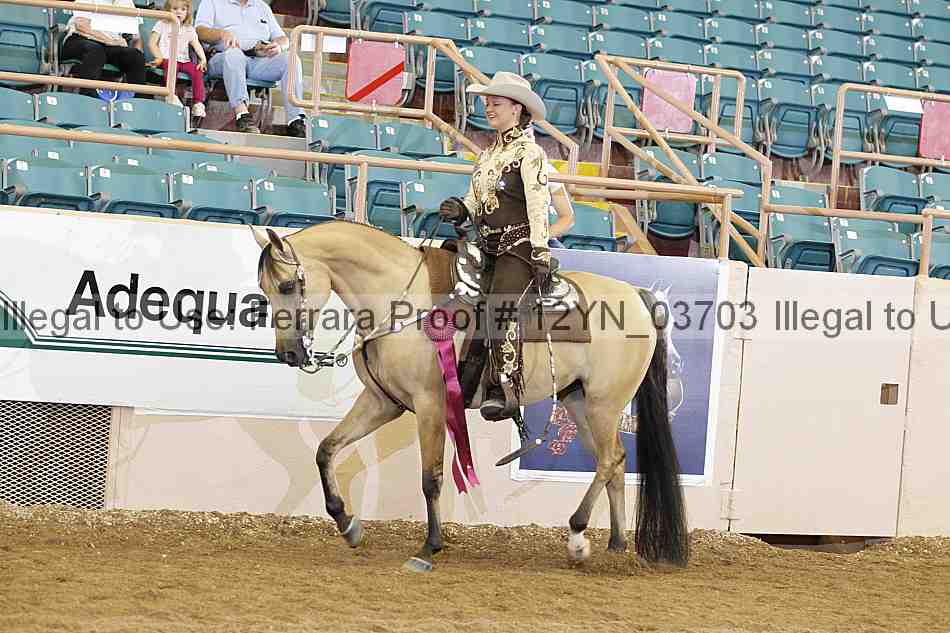 Proof 12yn_03703