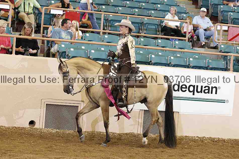 Proof 12yn_03706