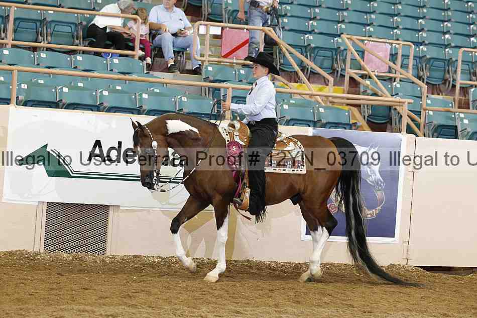 Proof 12yn_03709