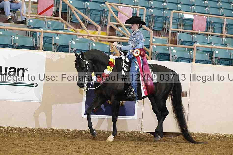 Proof 12yn_03713