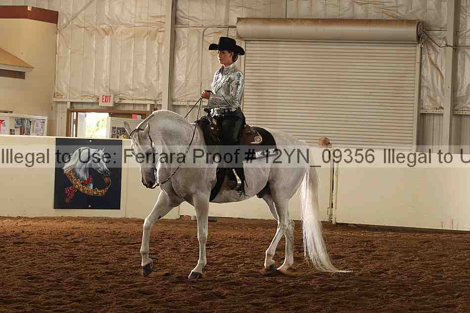Proof 12yn_09356