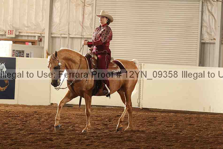 Proof 12yn_09358