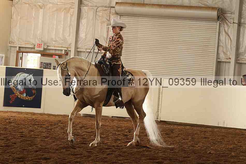 Proof 12yn_09359