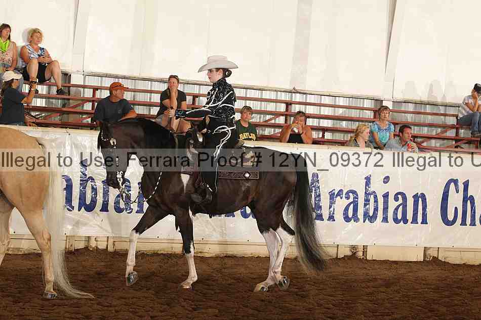 Proof 12yn_09372