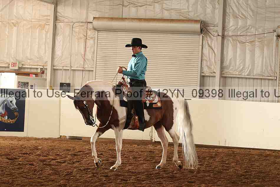Proof 12yn_09398