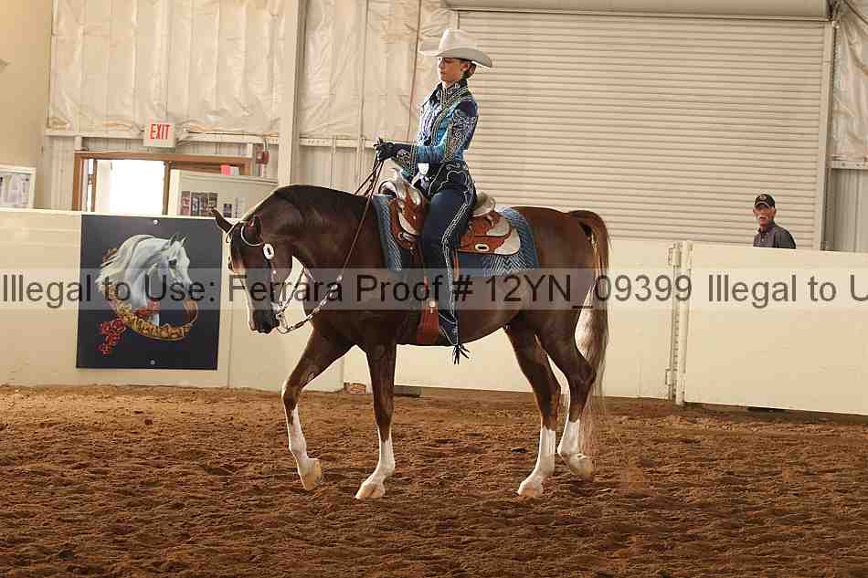Proof 12yn_09399