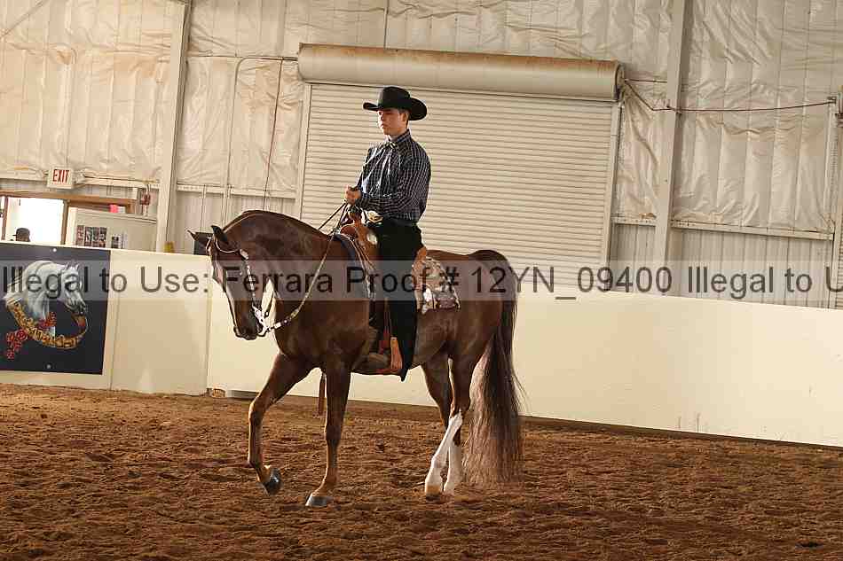 Proof 12yn_09400