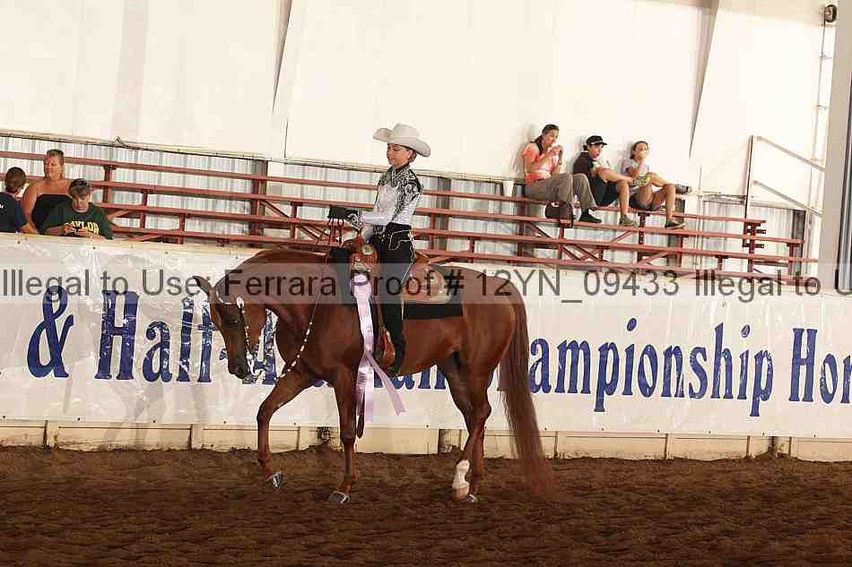 Proof 12yn_09433