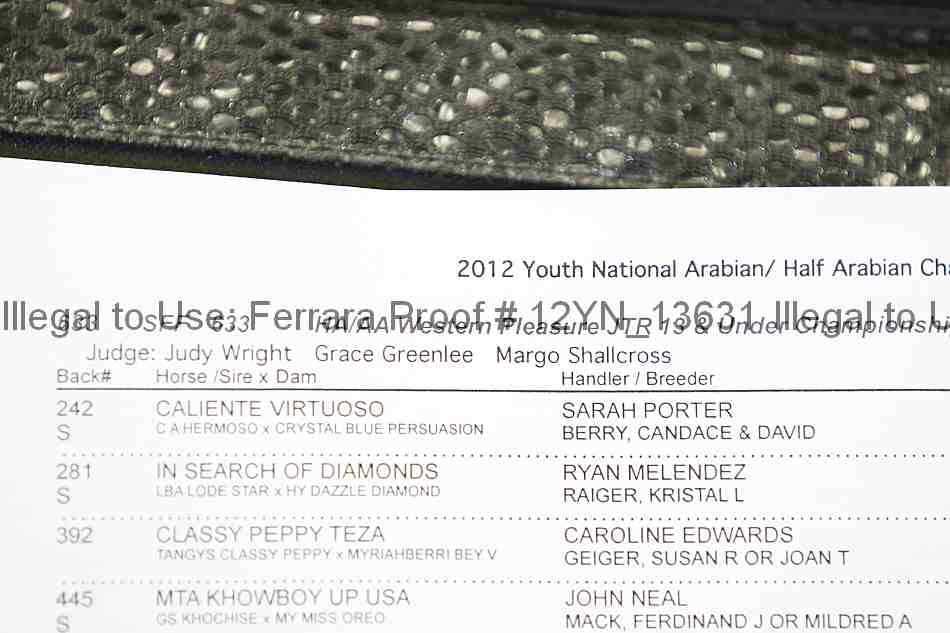Proof 12yn_13631