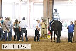 12yn_13751 proof