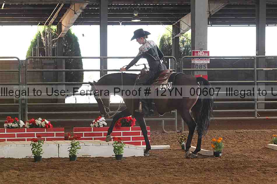 Proof 12yn_00607