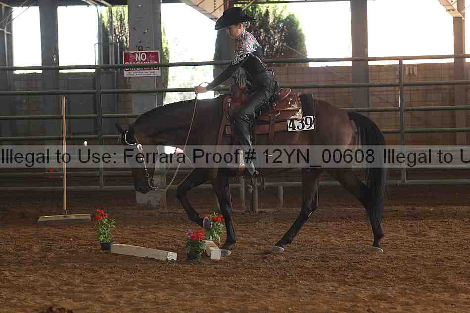Proof 12yn_00608