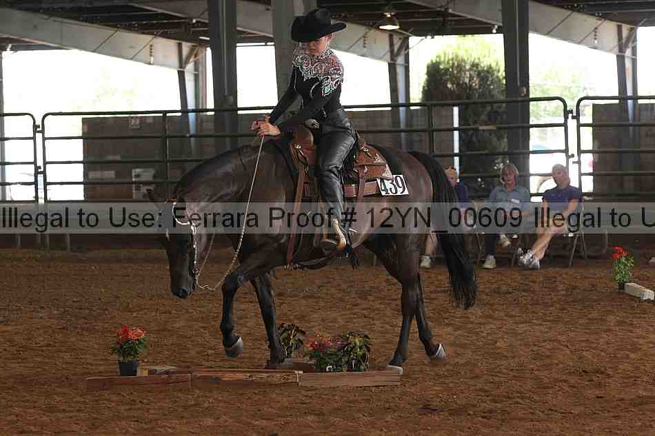 Proof 12yn_00609