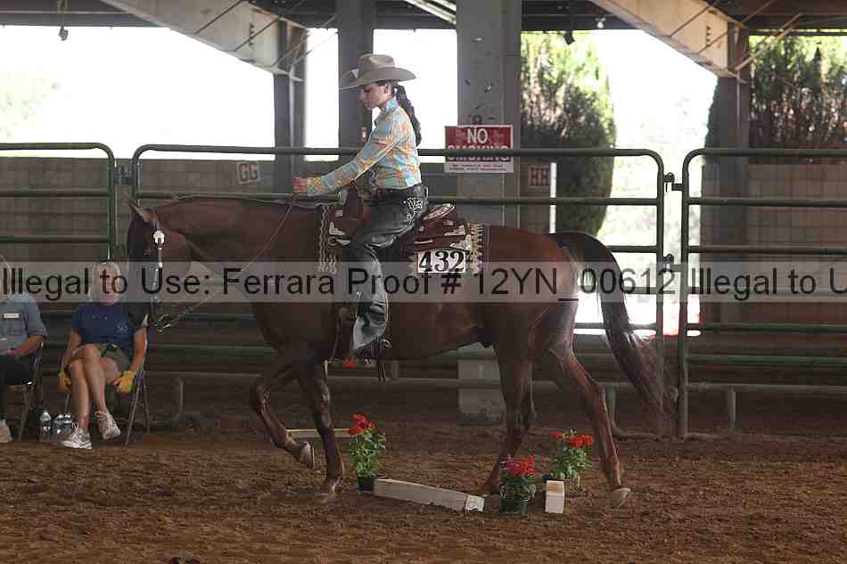 Proof 12yn_00612