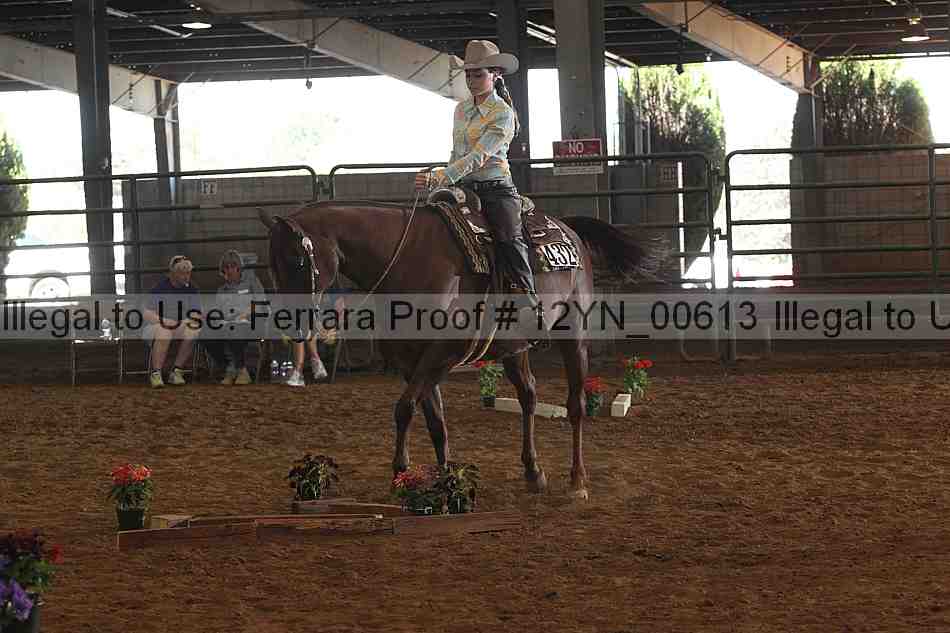 Proof 12yn_00613