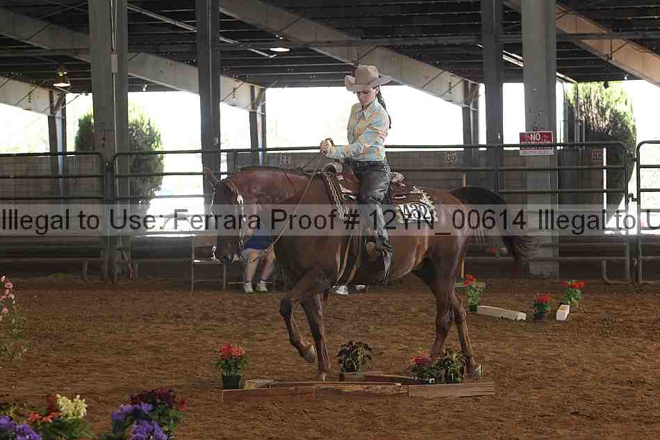 Proof 12yn_00614