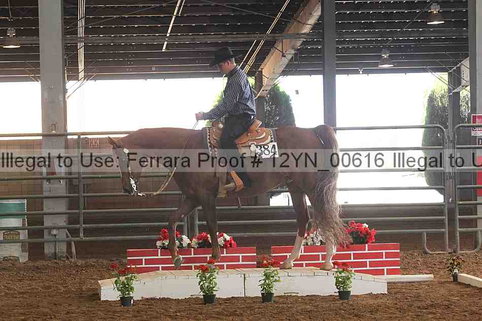 Proof 12yn_00616