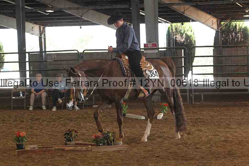 Proof 12yn_00618