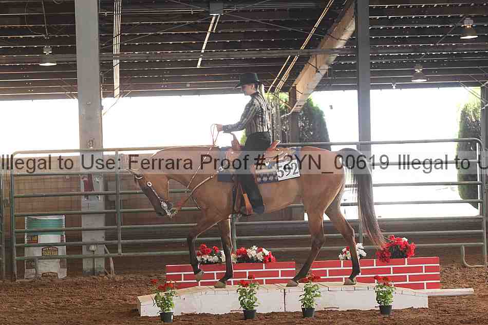 Proof 12yn_00619