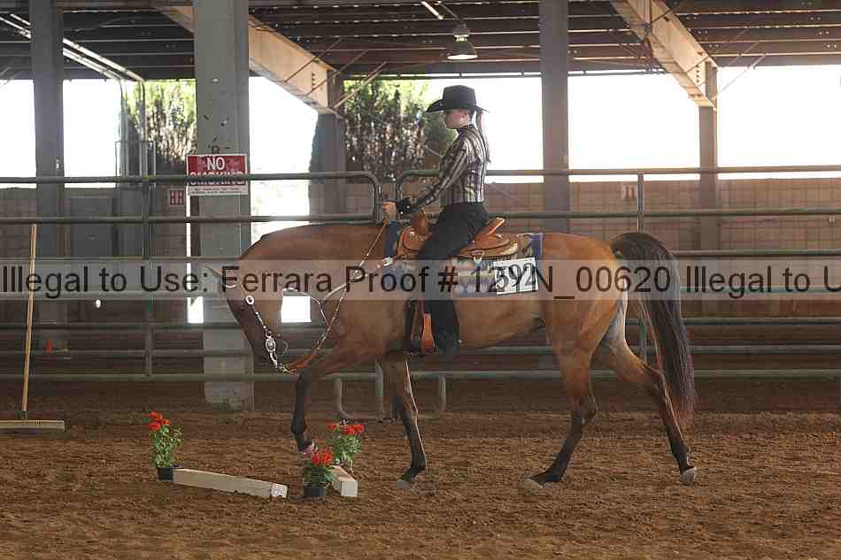 Proof 12yn_00620